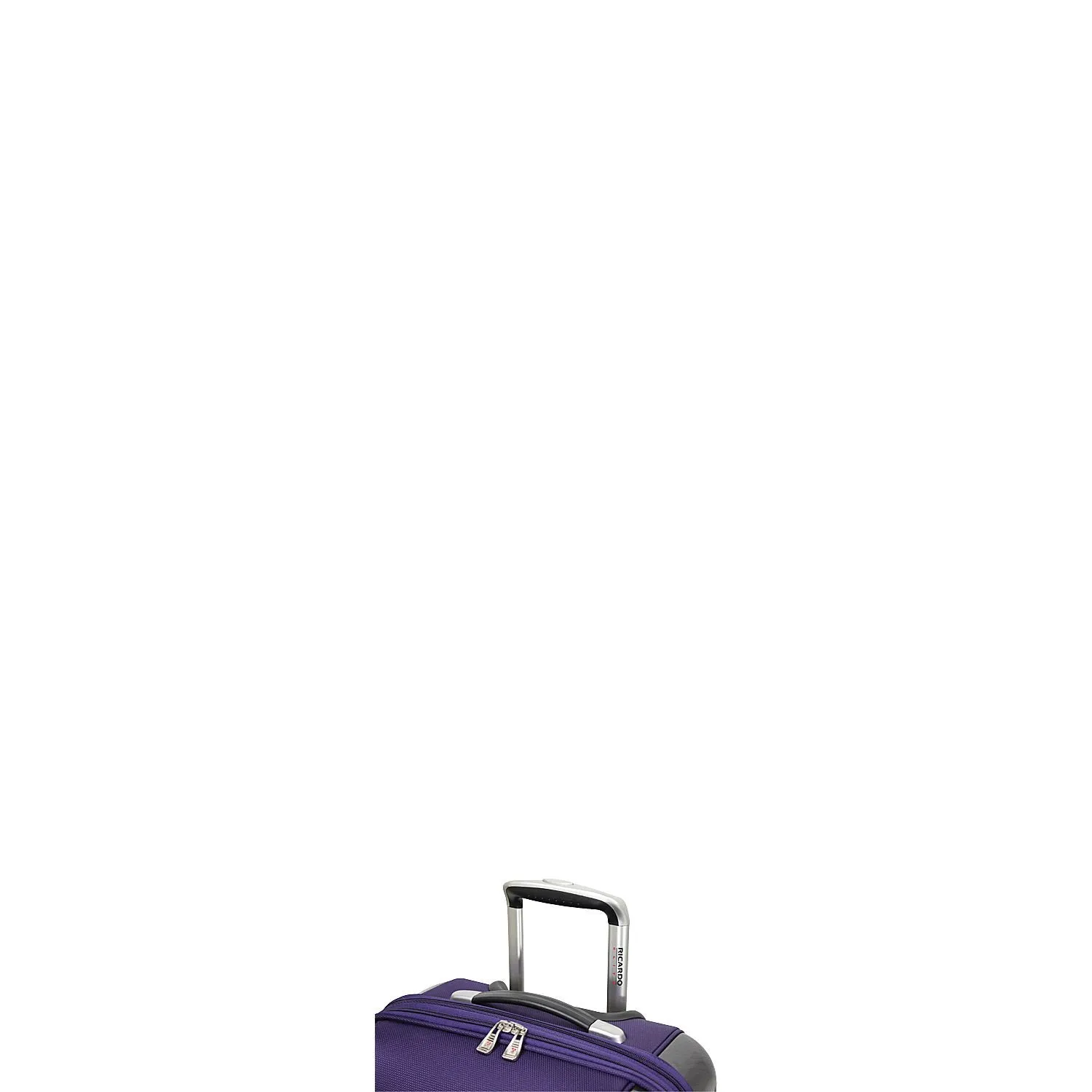 Ricardo Beverly Hills Crystal City 20" Expandable Spinner Carry-On