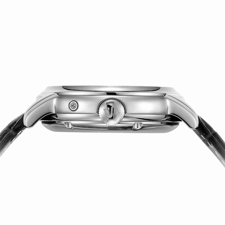 Seagull Watch | Flywheel Multifunctional Business Watch 42mm