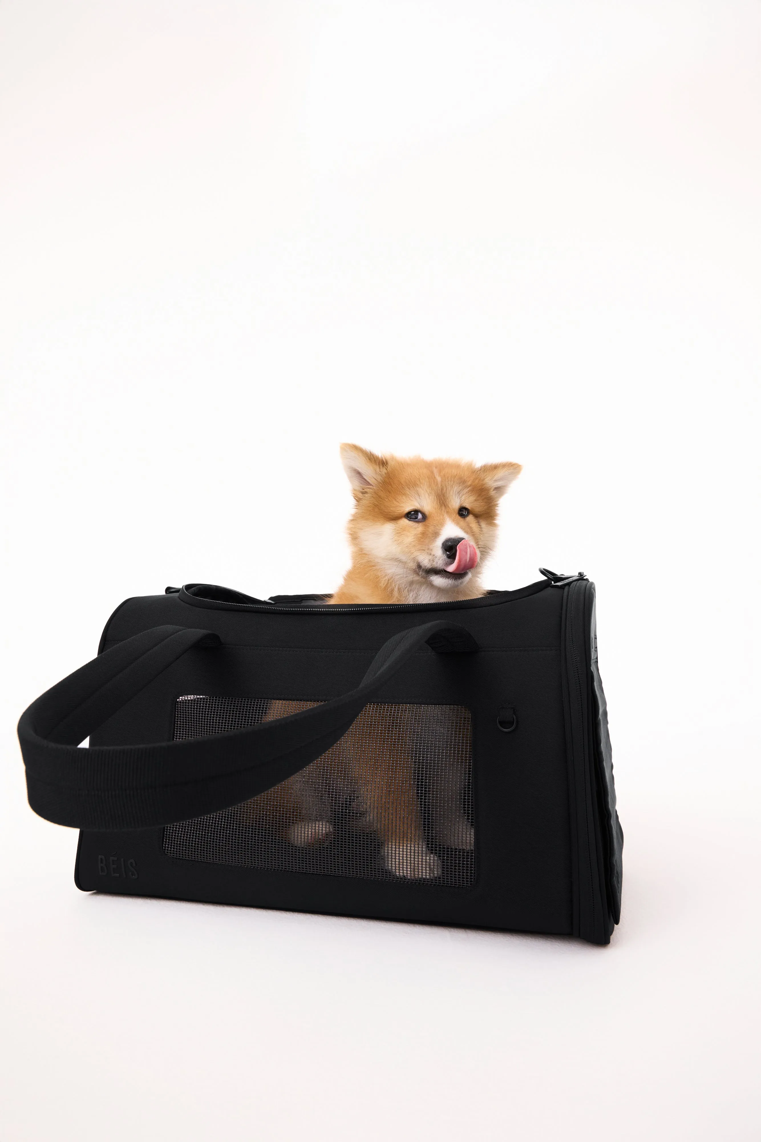 The Pet Carrier in Black